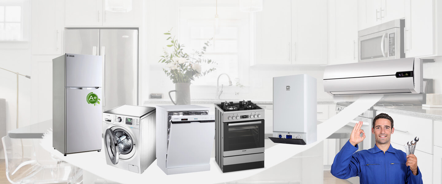 Basınsitesi Finlux Servisi